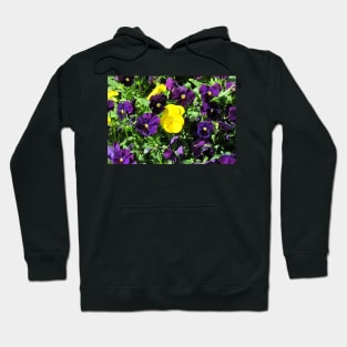 Purple And Yellow Flowers Hoodie